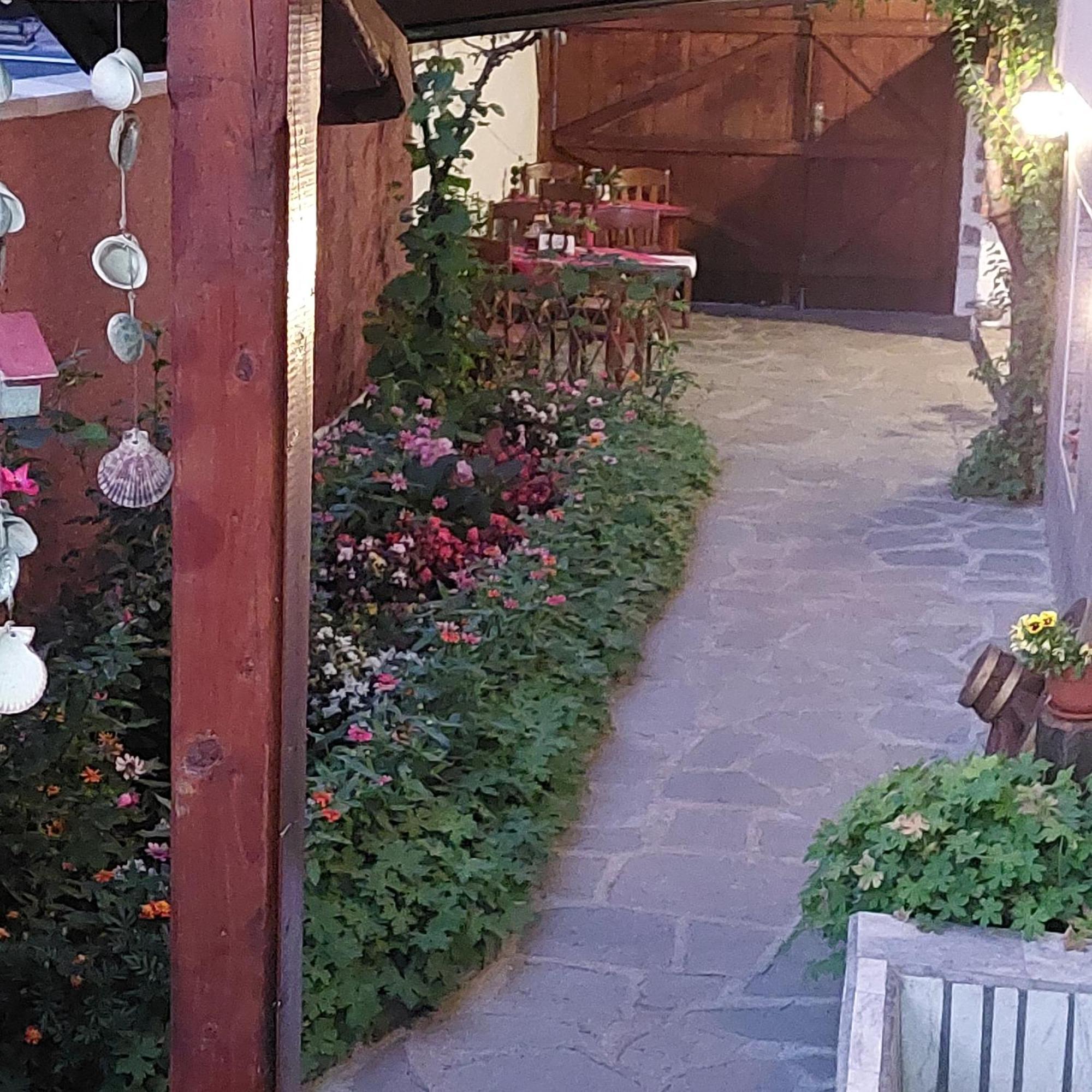 Guest House Planinski Zdravets Bansko Eksteriør bilde