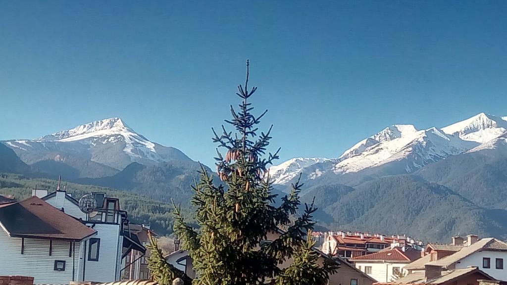 Guest House Planinski Zdravets Bansko Eksteriør bilde